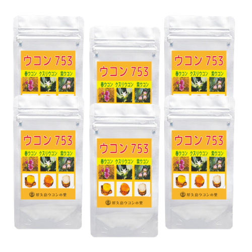 ウコン753 300粒×6個セット（約6ヶ月分）