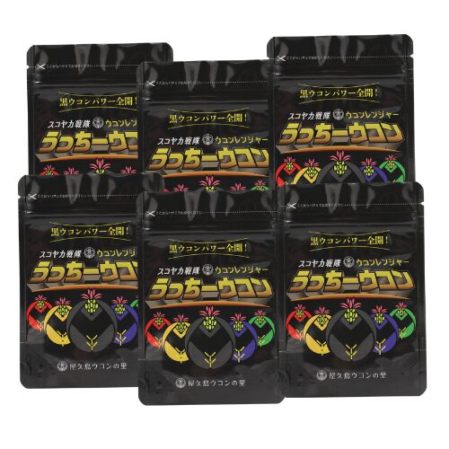 うっちーウコン 300粒×6個セット（約6ヶ月分）